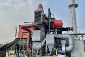 Industrial Boiler (IBR)